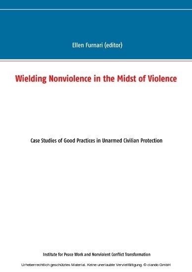 Wielding Nonviolence in the Midst of Violence main product photo