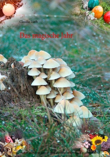 Das magische Jahr main product photo