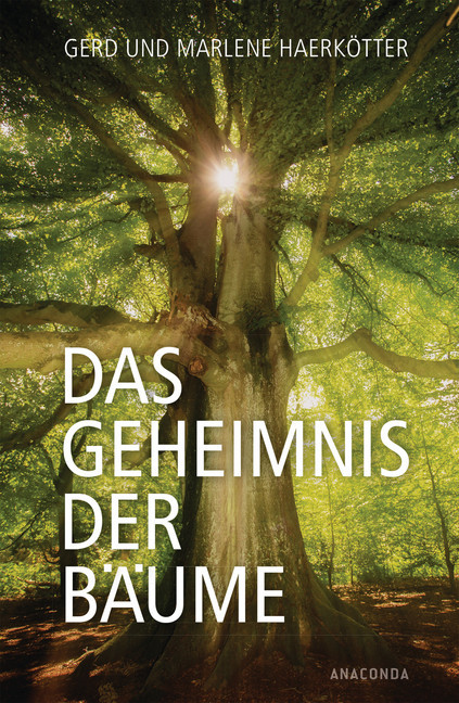 Das Geheimnis der Bäume main product photo