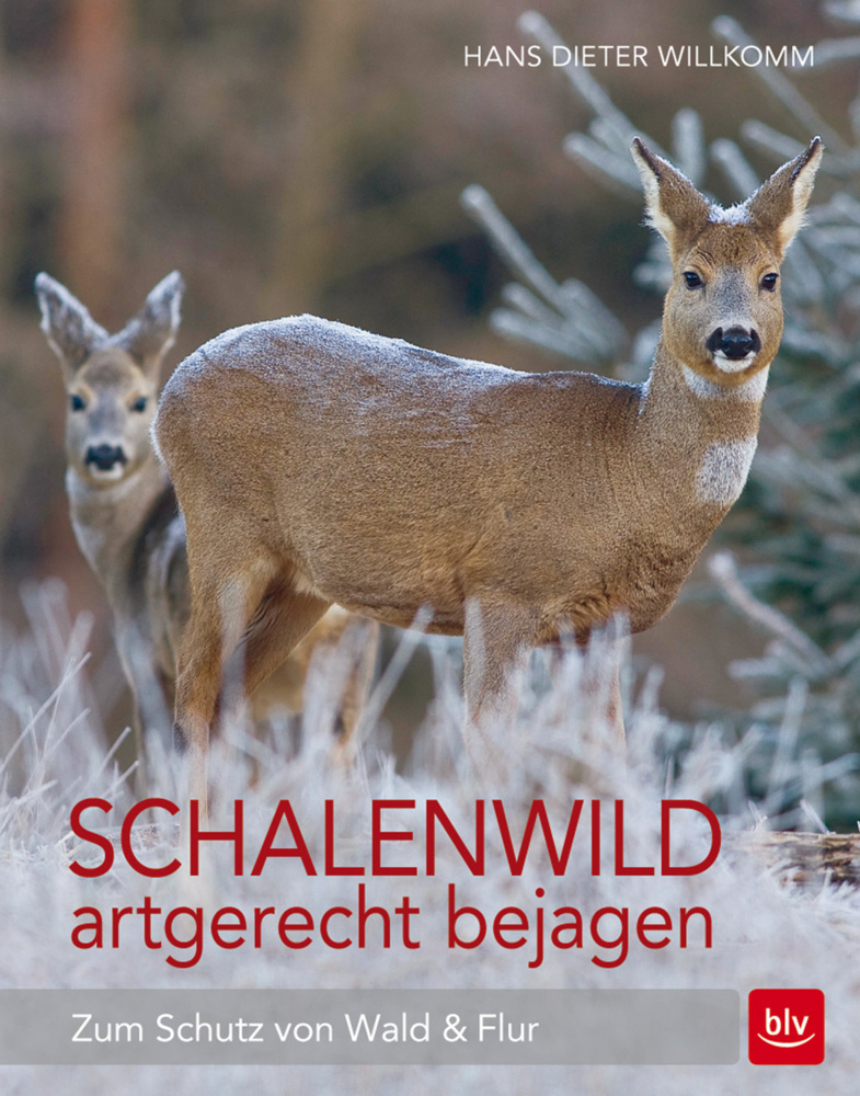 Schalenwild artgerecht bejagen main product photo