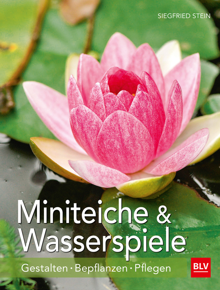 Miniteiche und Wasserspiele main product photo