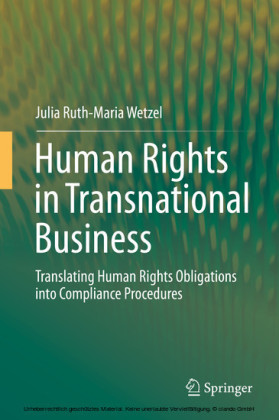 Human Rights in Transnational Business