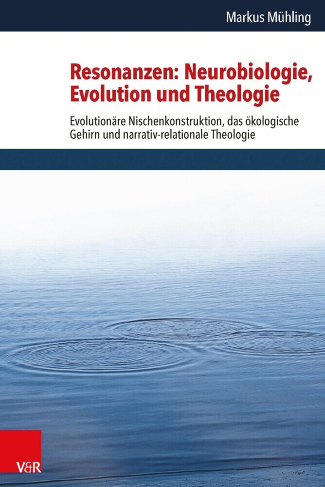 Resonanzen: Neurobiologie, Evolution und Theologie main product photo