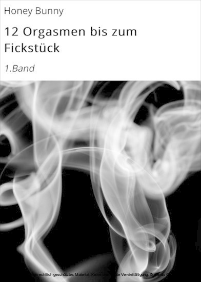 12 Orgasmen bis zum Fickstück main product photo