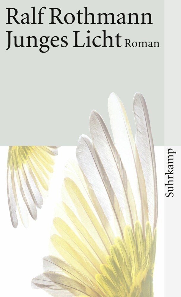 Junges Licht main product photo