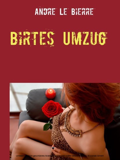 Birtes Umzug main product photo