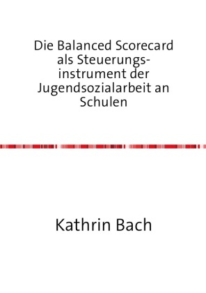 Die Balanced Scorecard als Steuerungsinstrument der Jugendsozi...