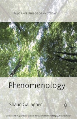 Phenomenology