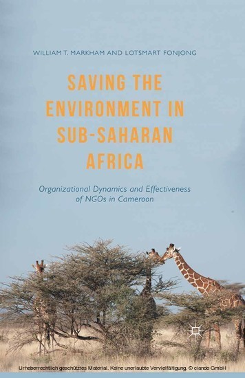 Saving the Environment in Sub-Saharan Africa main product photo