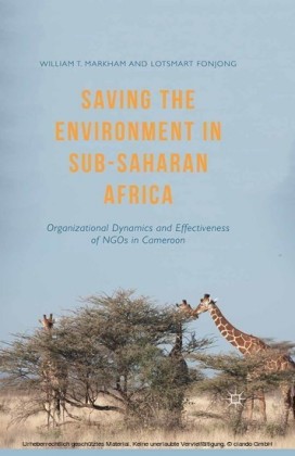 Saving the Environment in Sub-Saharan Africa