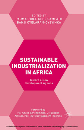 Sustainable Industrialization in Africa