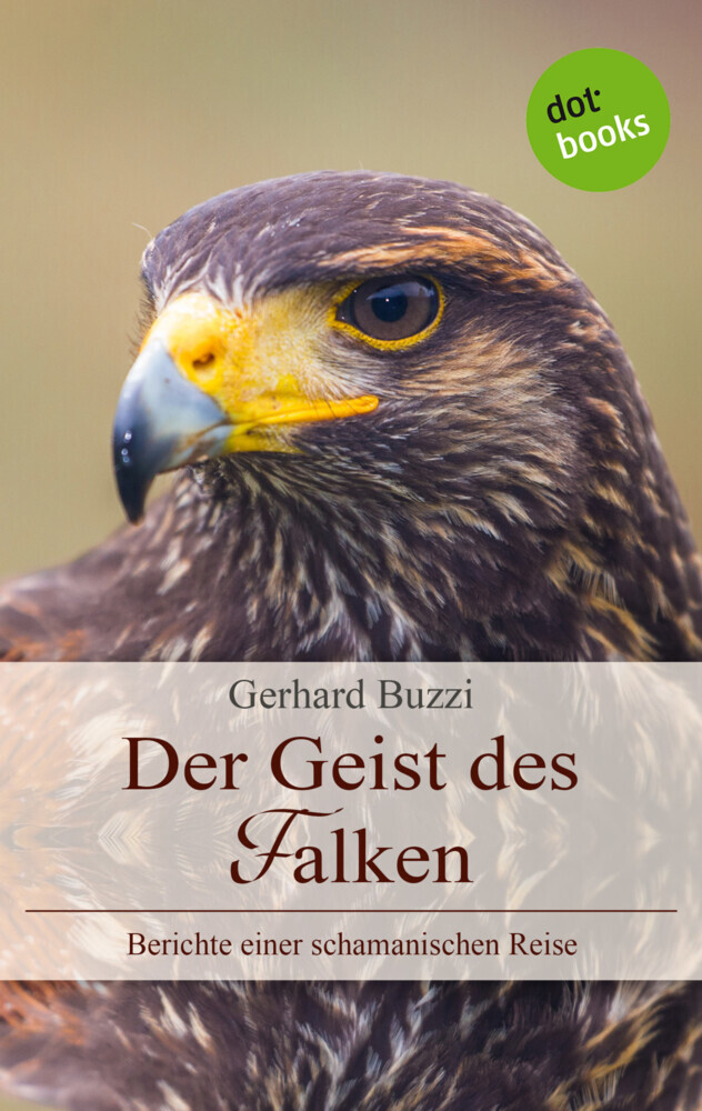 Der Geist des Falken main product photo