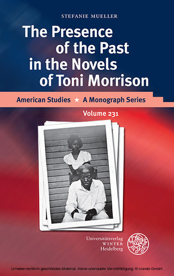The Presence of the Past in the Novels of Toni Morrison main product photo