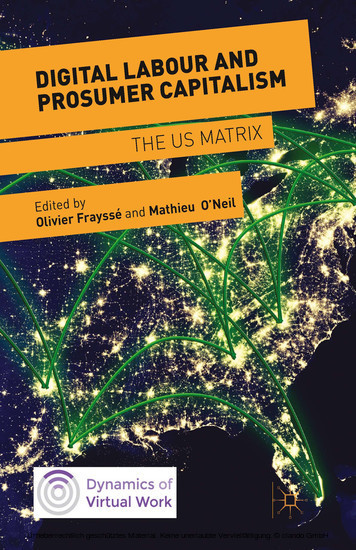 Digital Labour and Prosumer Capitalism main product photo