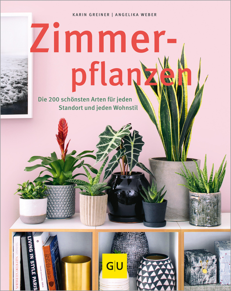 Zimmerpflanzen main product photo