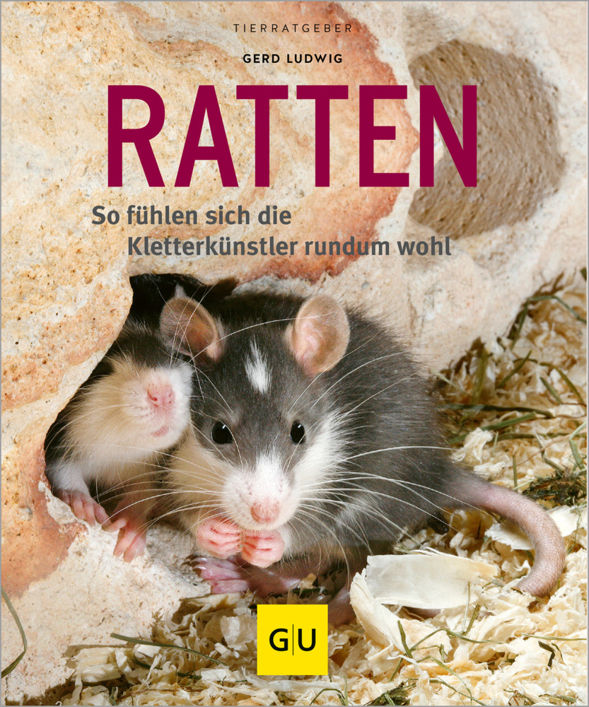 Ratten main product photo