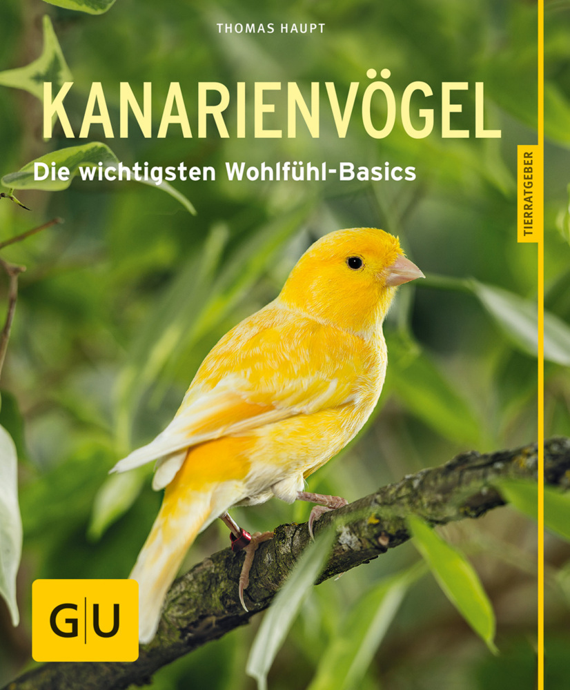 Kanarienvögel main product photo