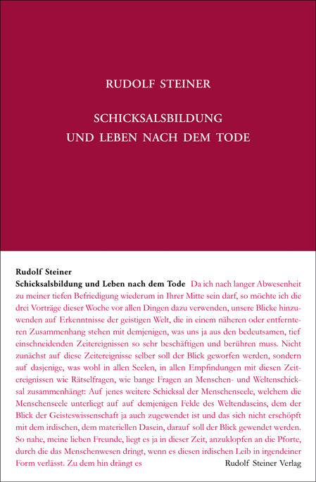 Schicksalsbildung und Leben nach dem Tode main product photo