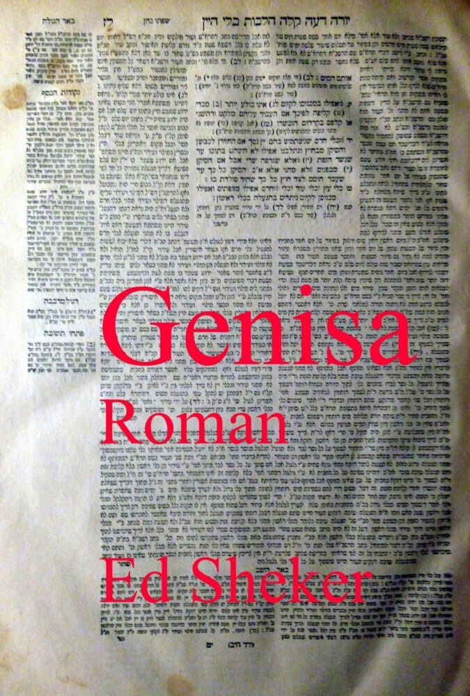 Genisa main product photo