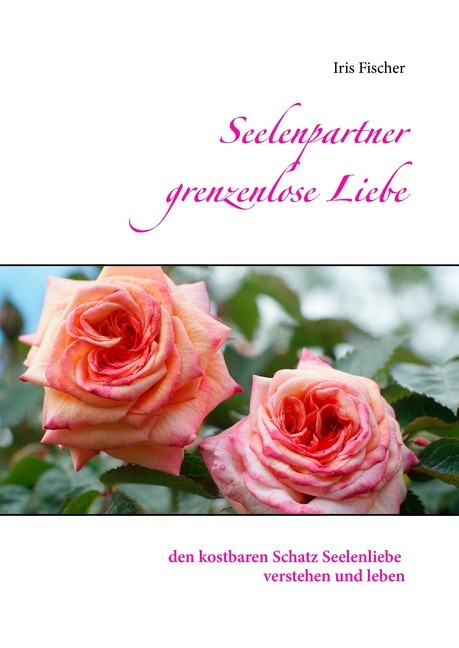 Seelenpartner grenzenlose Liebe main product photo