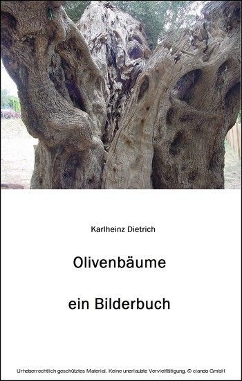 Olivenbäume main product photo