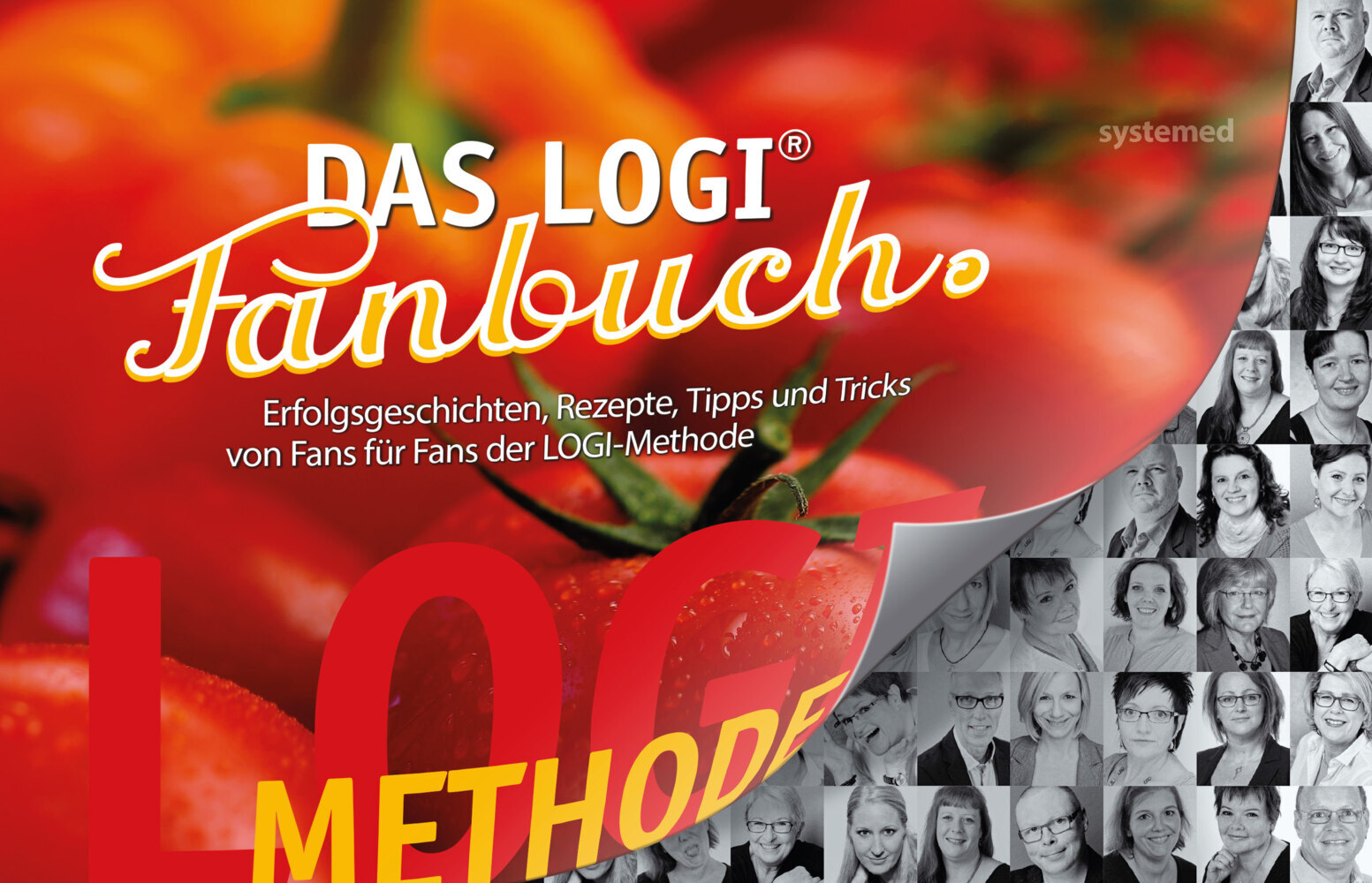 Das LOGI-Fanbuch main product photo
