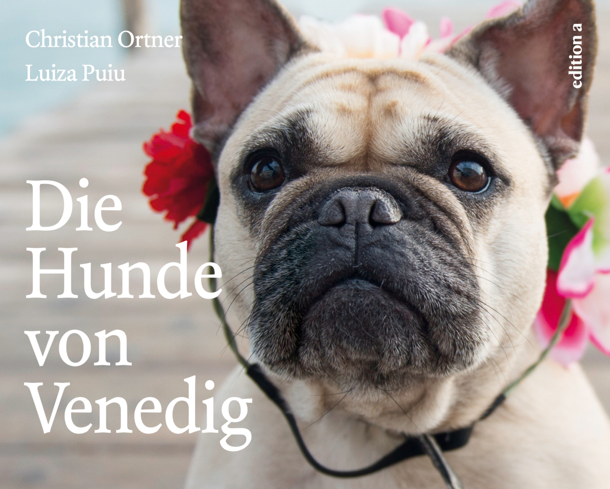 Die Hunde von Venedig main product photo