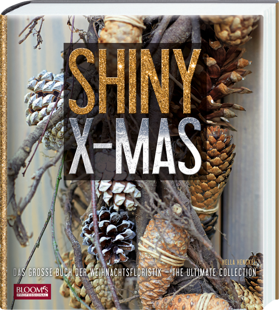 Shiny X-Mas main product photo