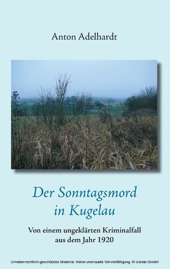Der Sonntagsmord in Kugelau main product photo