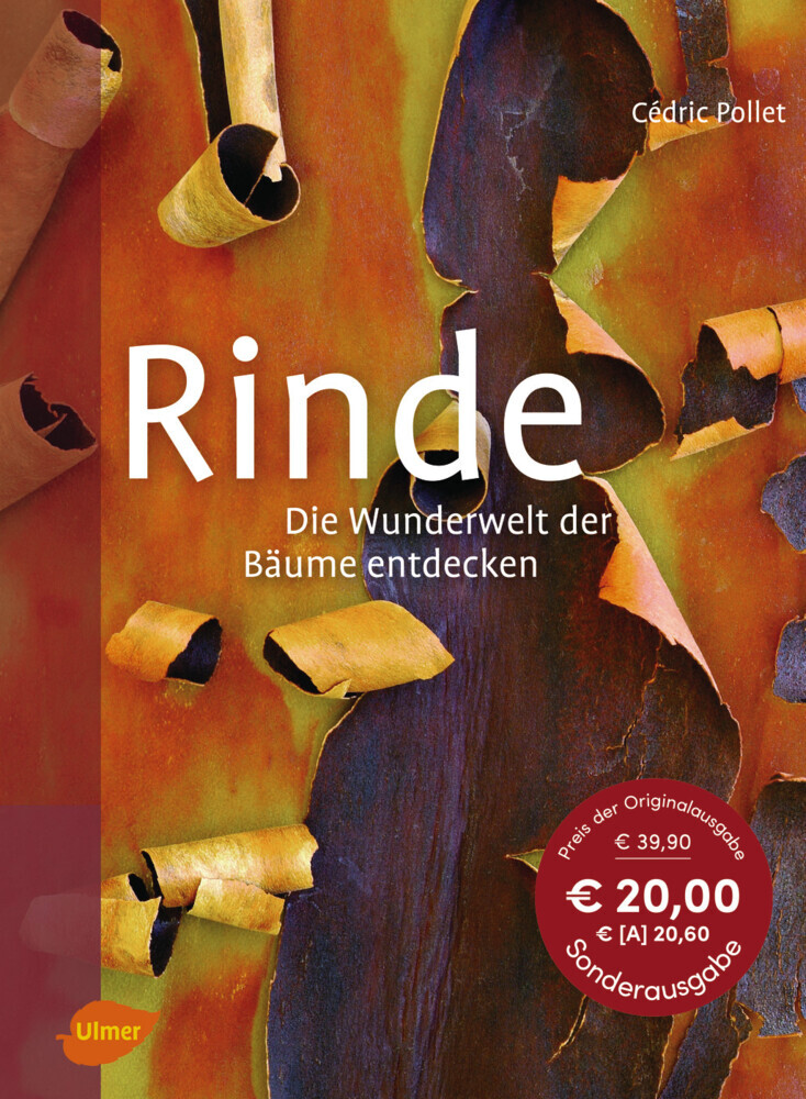 Rinde main product photo