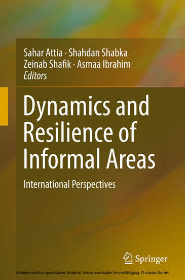 Dynamics and Resilience of Informal Areas main product photo