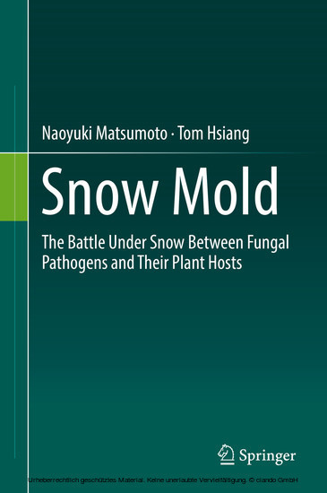 Snow Mold main product photo