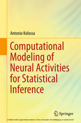 Computational Modeling of Neural Activities for Statistical Inference