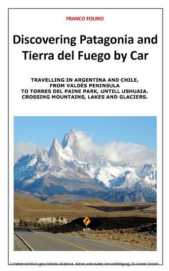 Discovering Patagonia and Tierra Del Fuego by Car main product photo
