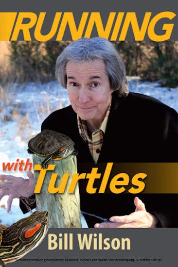 Running With Turtles main product photo