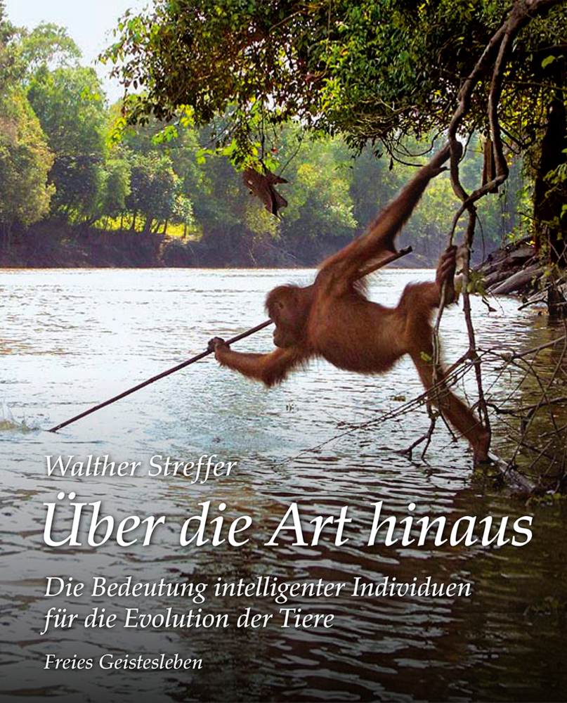 Über die Art hinaus main product photo