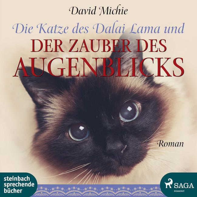 Die Katze des Dalai Lama und der Zauber des Augenblicks, 1 Audio-CD, 1 MP3 main product photo