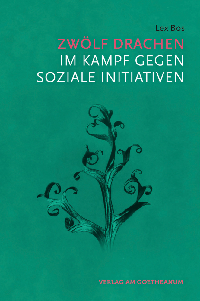 Zwölf Drachen im Kampf gegen soziale Initiativen main product photo