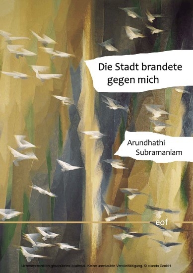 Die Stadt brandete gegen mich main product photo