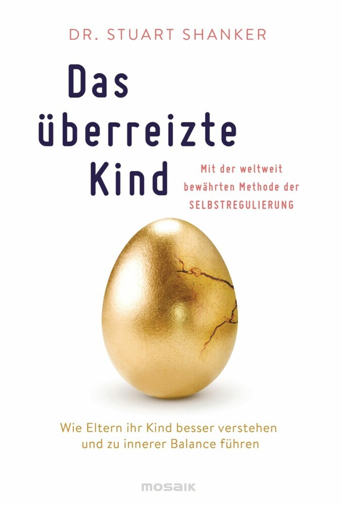 Das überreizte Kind main product photo
