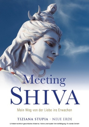 Meeting Shiva