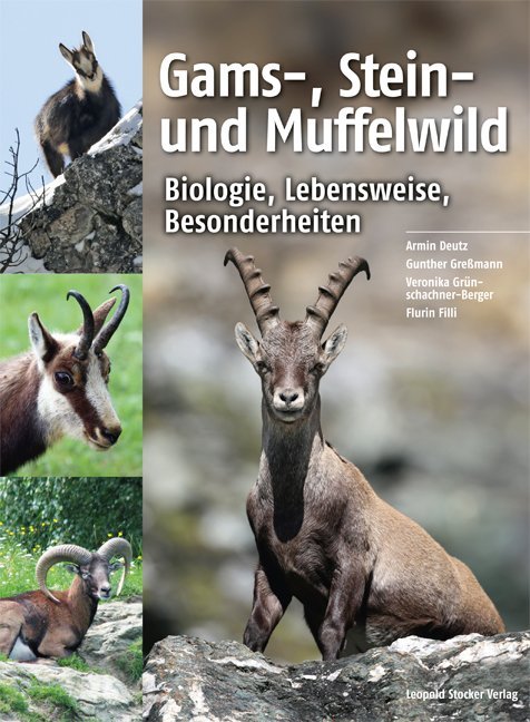 Gams-, Stein- und Muffelwild main product photo