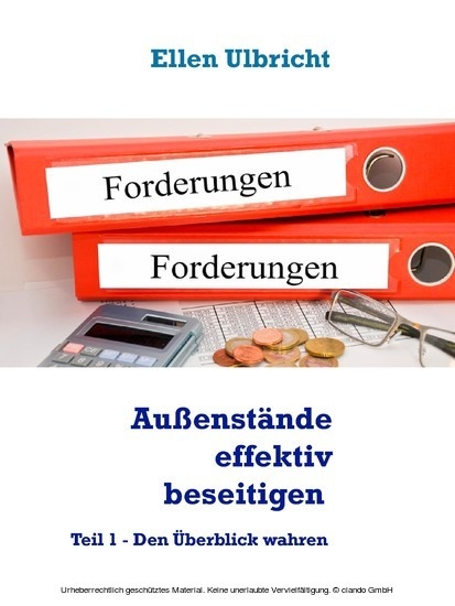 Außenstände effektiv beseitigen main product photo
