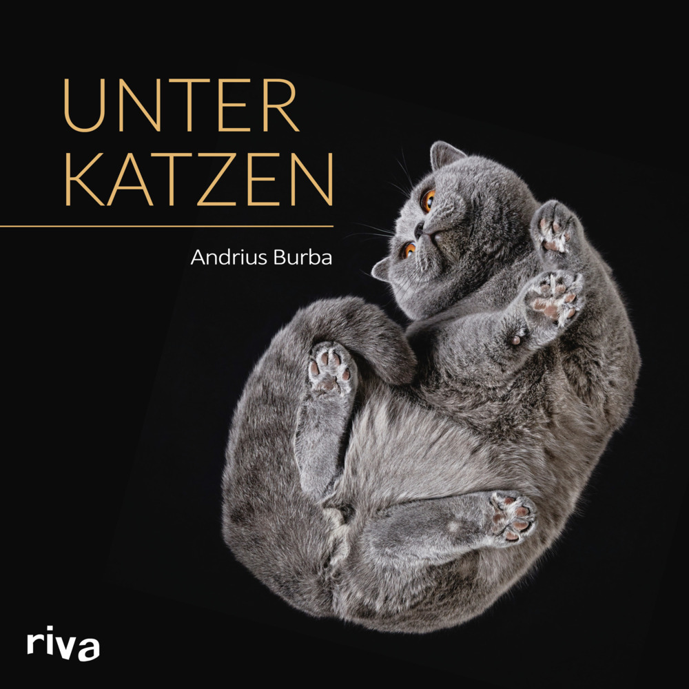 Unter Katzen main product photo