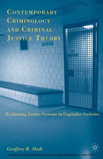 Contemporary Criminology and Criminal Justice Theory main product photo