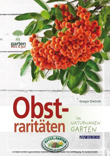 Obstraritäten main product photo