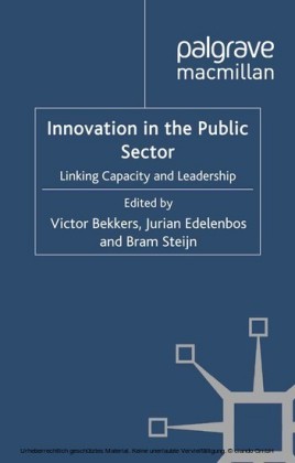 Innovation in the Public Sector