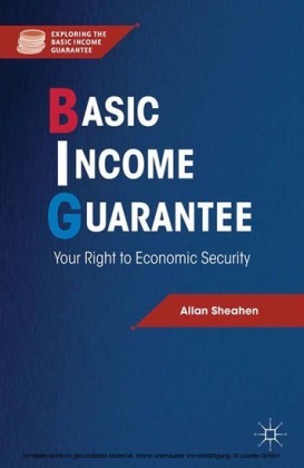 Basic Income Guarantee