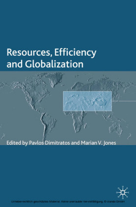 Resources, Efficiency and Globalization