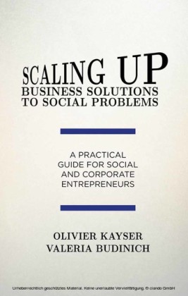 Scaling up Business Solutions to Social Problems